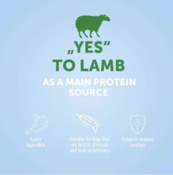 Nature’s Protection Red Coat Grain Free Lamb Adult Small and Mini Breeds - Суха храна с агнешко за израснали кучета от дребни породи с червена козина